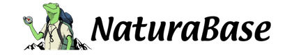NaturaBase